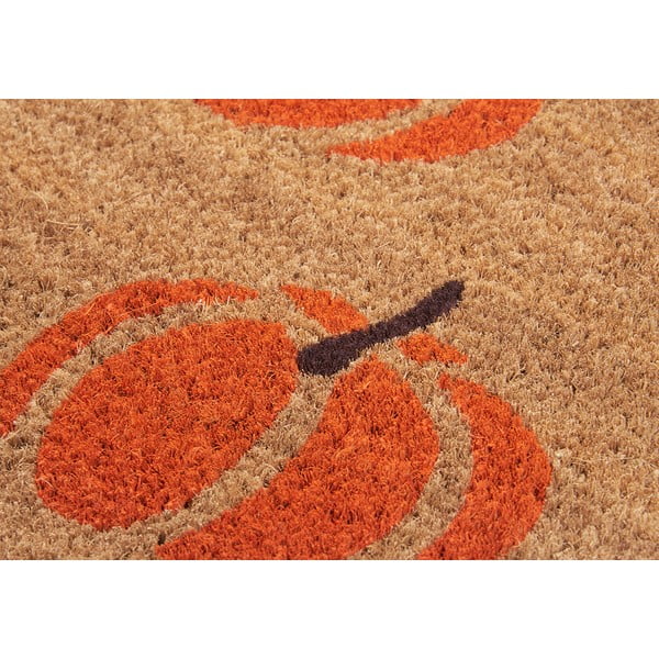 Rohožka 45x75 cm Mix Mats – Hanse Home-image-4