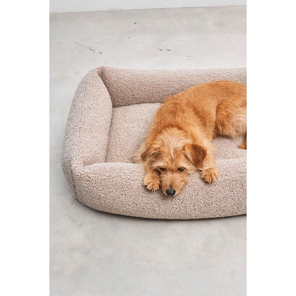 Béžový pelíšek pro psa z materiálu bouclé 55x70 cm Senso Greige S – MiaCara-image-3