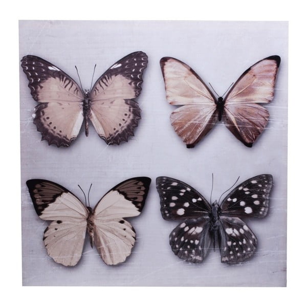 Obraz na plátně Ewax Quatro Butterfly, 60 x 60 cm