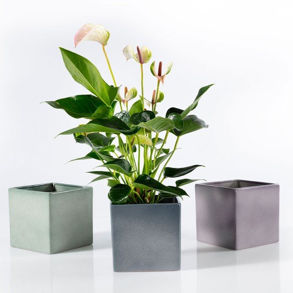 Zelený keramický květináč Big pots Latina, 15 x 15 cm-image-2