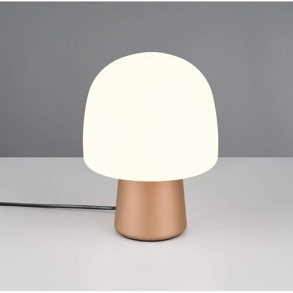 Stolní lampa v bílo-bronzové barvě se skleněným stínidlem (výška 27 cm) Steen – Trio-image-1