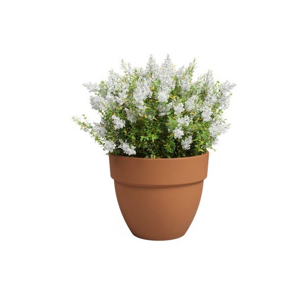 Květináč z terakoty ø 40 cm Amalia Campana – Artevasi-image-2