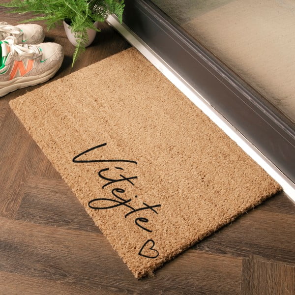 Rohožka z kokosového vlákna 40x60 cm Vítejte – Artsy Doormats-image-1
