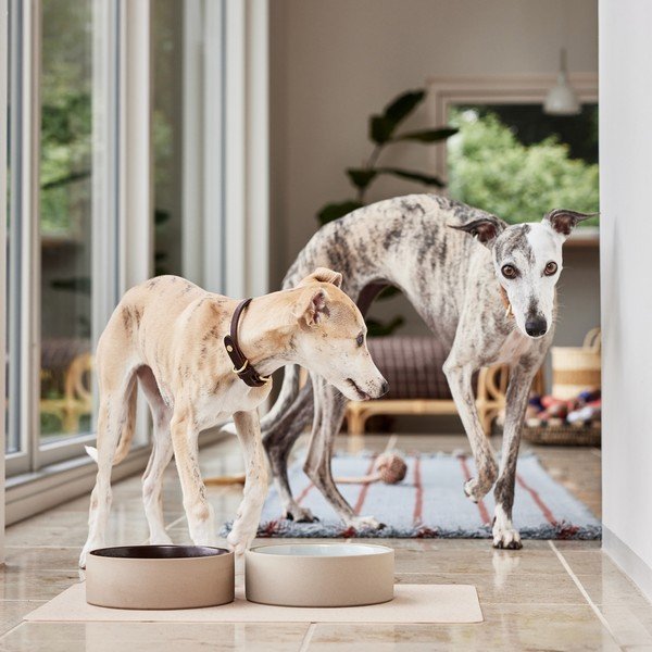 Keramická miska pro psa ø 17 cm Sia – OYOY Living Design-image-1