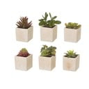Umělé rostliny v sadě 6 ks (výška 9,5 cm) Cactus – Casa Selección