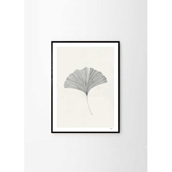 Plakát 50x70 cm Ginkgo Leaf – Ana Frois – The Poster Club-image-3