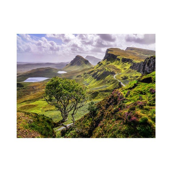 Obraz Styler Canvas Scotland Nature, 85 x 113 cm-image-1