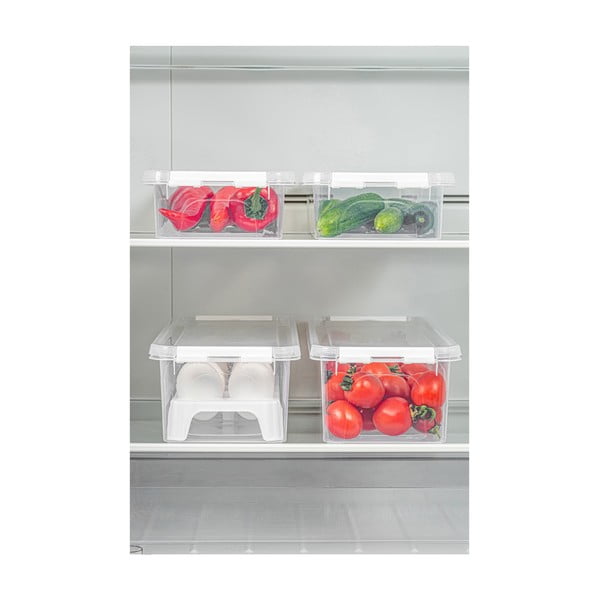 Plastové organizéry do lednice v sadě 4 ks 36x14 cm Lukutu – Hermia