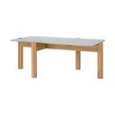 Konferenční stolek se skleněnou deskou v přírodní barvě 55x105 cm Kob – noo.ma