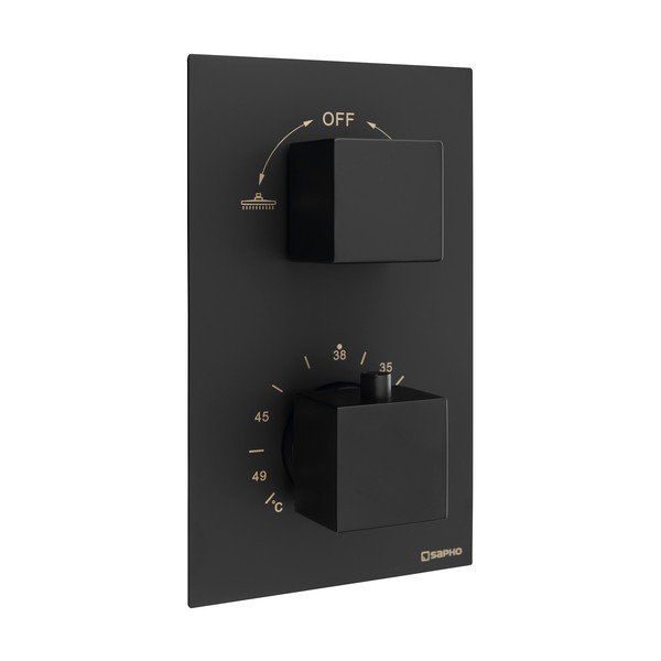 Matně černá podomítková sprchová baterie (2 výstupy) Latus – Sapho-image-1