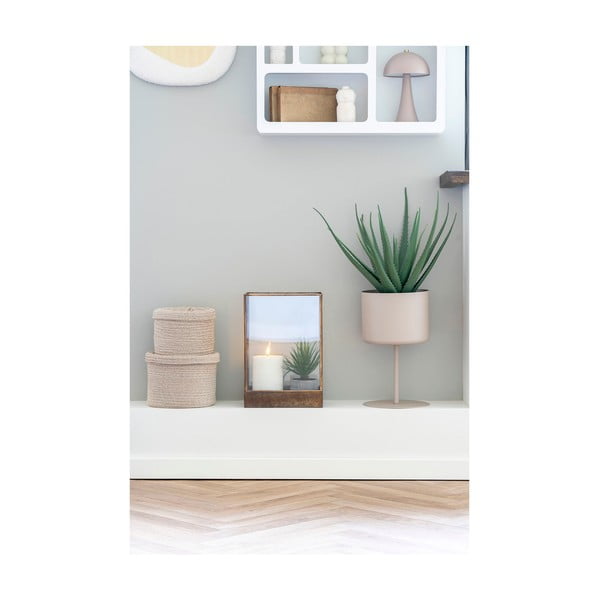 Umělá rostlina (výška 51 cm) Aloe Vera – House Nordic-image-2