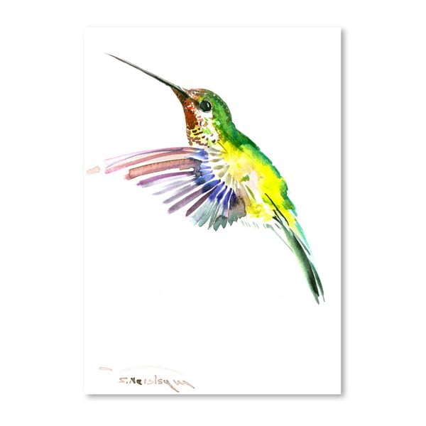 Autorský plakát Flying Hummingbird od Surena Nersisyana, 60 x 42 cm
