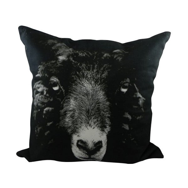 Polštář Sepia Black Sheep 50x50 cm