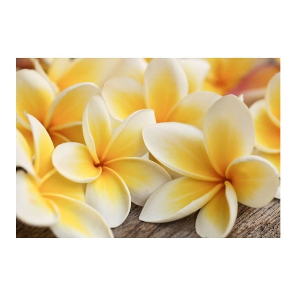 Nalepovací tapeta na nábytek Dimex Květy, 125 x 85 cm-image-2