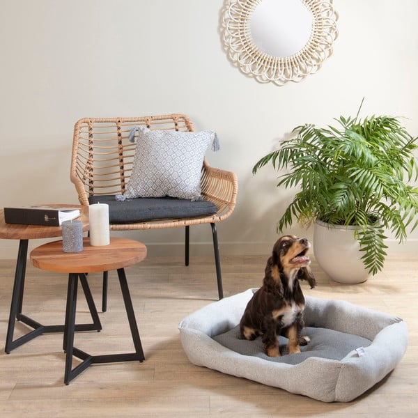 Světle šedý pelíšek pro psa 60x48 cm Graphene – Love Story-image-1