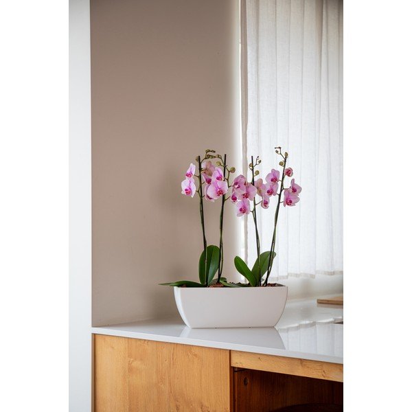 Truhlík z recyklovaného plastu 40 cm Siena – Artevasi-image-1