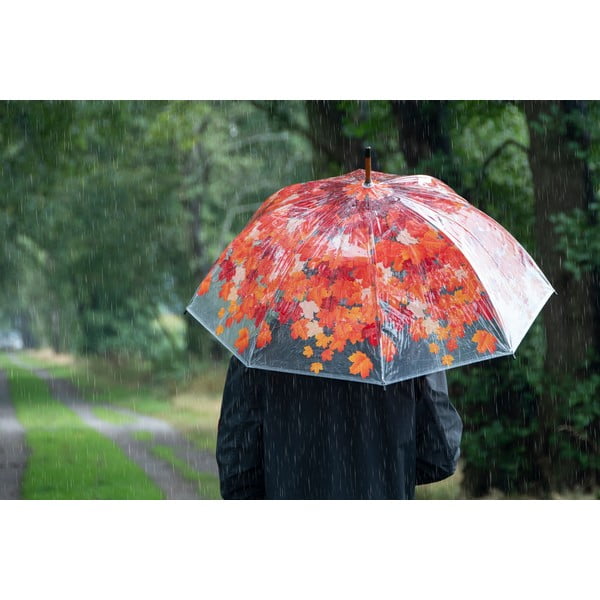 Transparentní holový deštník Esschert Design Ambiance Birdcage Fall Leaves, ⌀ 93 cm-image-1