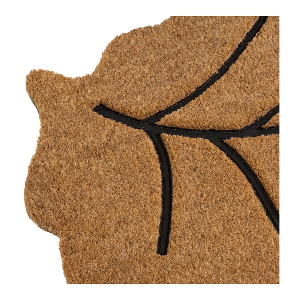 Rohožka z kokosového vlákna 45x75 cm Leaf – Casa Selección-image-3