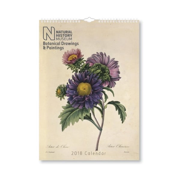 Nástěnný kalendář pro rok 2018 Portico Designs Natural History Museum Botanical, A3