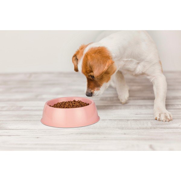 Růžová miska pro psa Petpetite, ø 21,5 cm-image-1