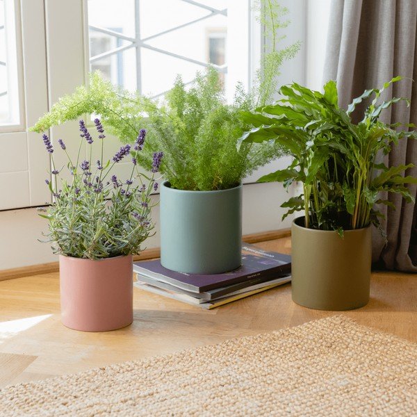 Porcelánové obaly na květináče na bylinky v sadě 3 ks ø 17 cm Turin – Remember-image-1