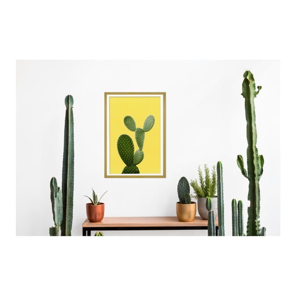 Obraz Really Nice Things Yellow Cactus-image-3