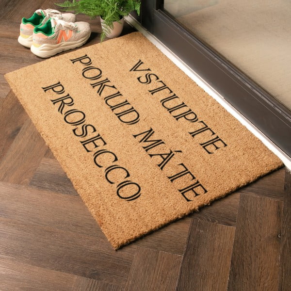 Rohožka z kokosového vlákna 40x60 cm Prosecco – Artsy Doormats-image-1