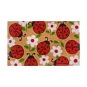 Rohožka z kokosového vlákna 75x45 cm Lady Beetle - Hanse Home
