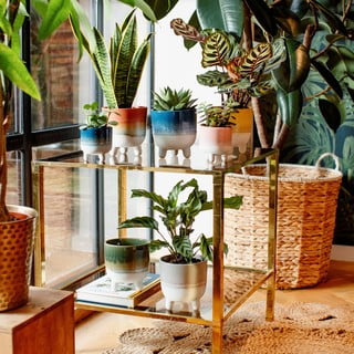 Šedý květináč Sass & Belle Bohemian Home Mojave, ø 11,7 cm