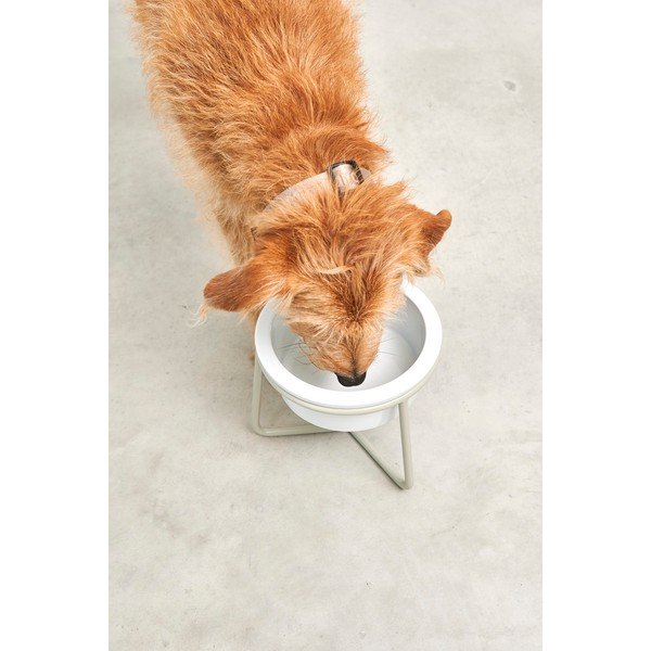 Porcelánová miska s podstavcem pro psa ø 20 cm Pranzo Greige M – MiaCara-image-3