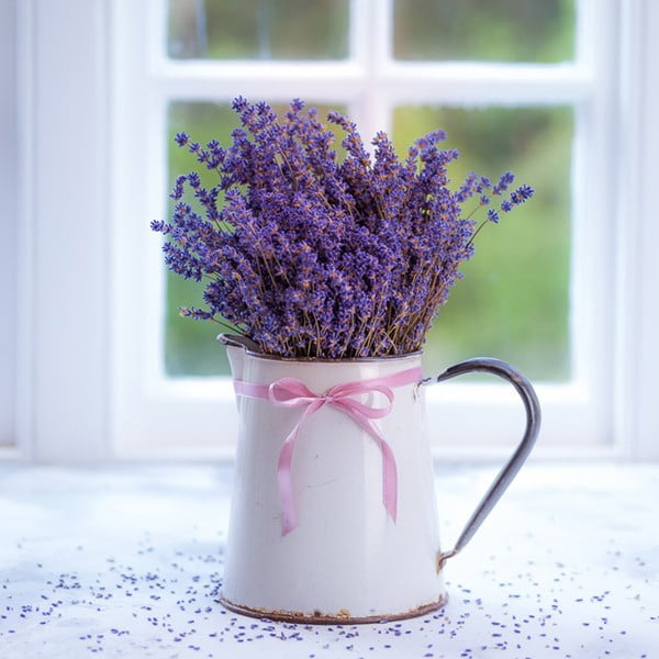 Obraz Lavender Mug, 30x30 cm