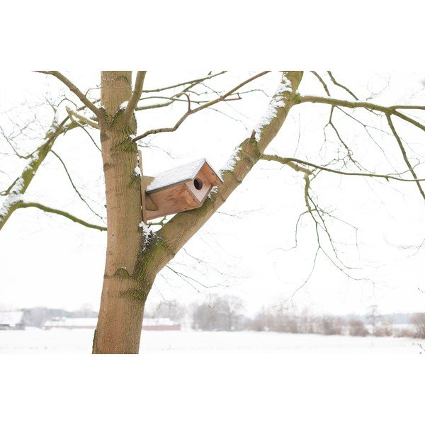 Dřevěná budka pro sovu – Esschert Design-image-2