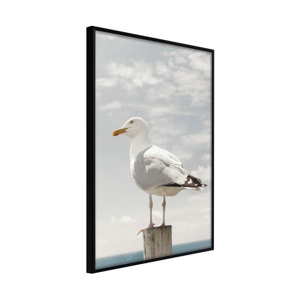 Plakát v rámu Artgeist Curious Seagull, 40 x 60 cm