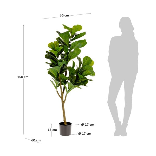 Umělý fíkus (výška 150 cm) Lyrata – Kave Home-image-2