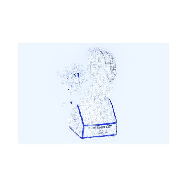 Puzzle DOIY Phrenology