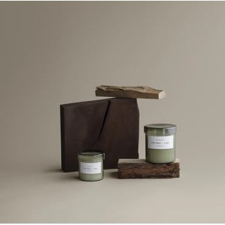 Vonná sojová svíčka doba hoření 45 h Valoa Fig Tree – Lime – Blomus
