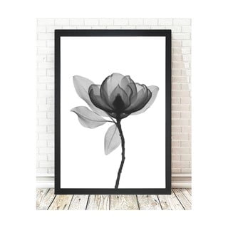 Plakát 24x29 cm Harmony Flower – Tablo Center