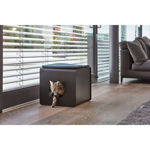 Výplně do kočičího záchodu v přírodní barvě v sadě 5 ks 34,5x53 cm Sito – MiaCara-image-4