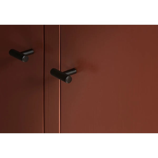 Šedé nástěnné kovové háčky v sadě 2 ks Rof – Blomus-image-2