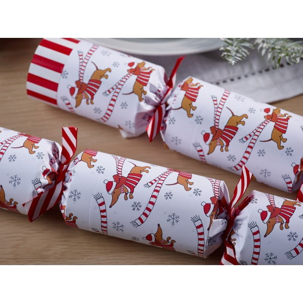 Vánoční crackery v sadě 6 ks Racing Sausage Dog – Robin Reed-image-2