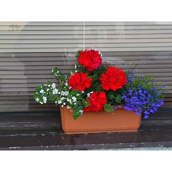 Hnědý samozavlažovací truhlík, délka 60 cm Siesta - Plastia-image-1