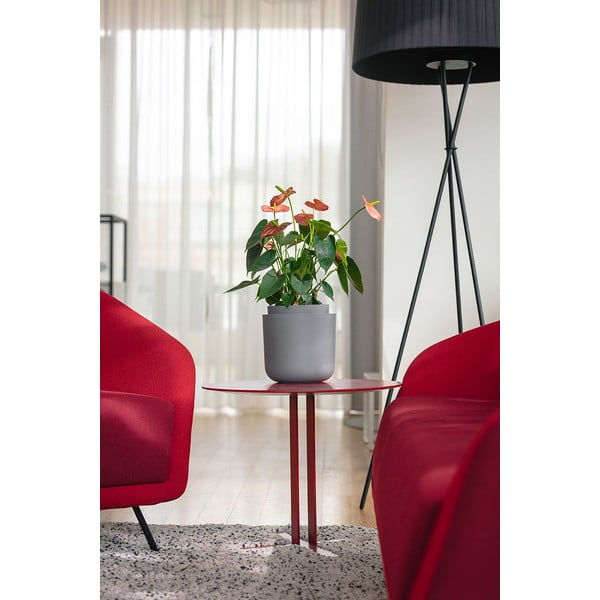 Šedý samozavlažovací květináč Plastia Tolita, ø 19 cm-image-2