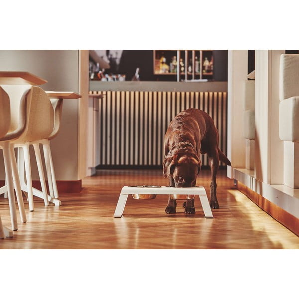 Kovový set misek s podstavcem pro psa Desco White M – MiaCara-image-1