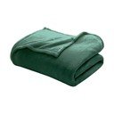 Zelená deka z mikroflanelu 220x240 cm Flanou – douceur d'intérieur