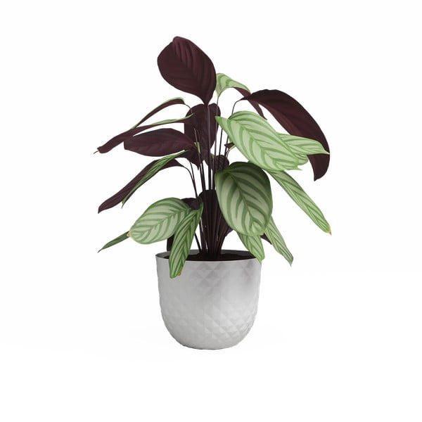 Květináč z recyklovaného plastu ø 30 cm Havana – Artevasi-image-2