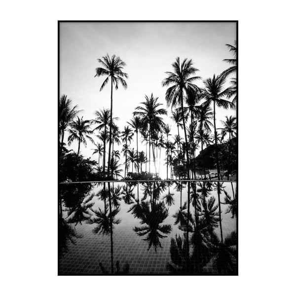Plakát Imagioo Pool And Palms, 40 x 30 cm