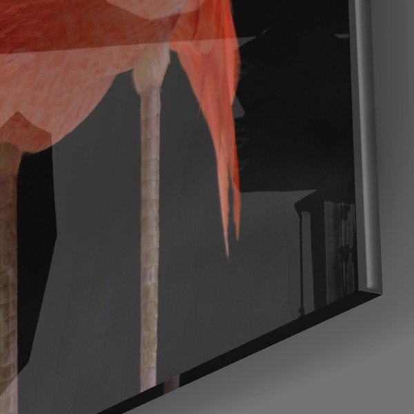 Skleněný obraz Insigne Flamingo-image-3