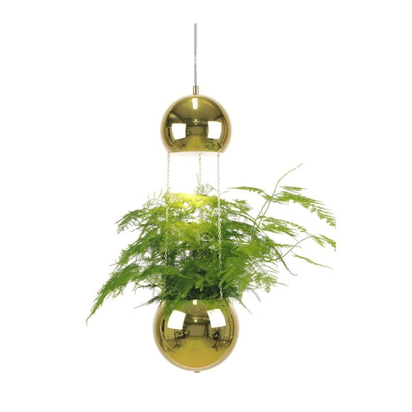 Závěsné svítidlo v barvě mosazi Globen Lighting Mini Planter