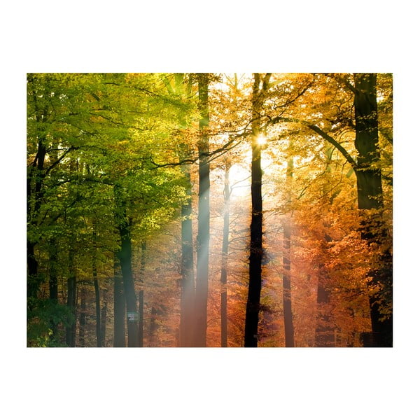 Velkoformátová tapeta Artgeist Beautiful Autumn, 200 x 154 cm