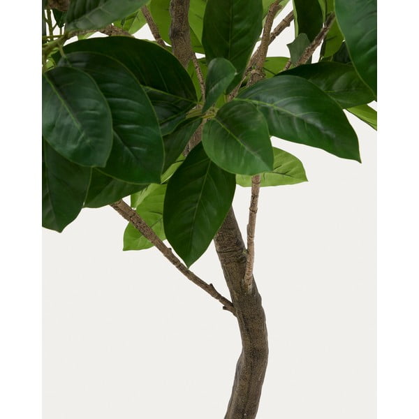 Umělý fíkus (výška 210 cm) Ficus – Kave Home-image-2